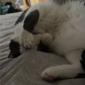 Meet your Posher, Jovanna